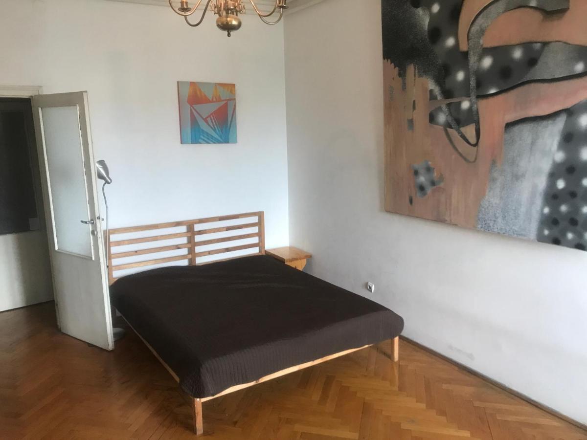 Spacious Apartman In The Center بودابست المظهر الخارجي الصورة